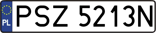 PSZ5213N