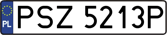 PSZ5213P