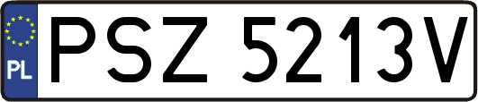 PSZ5213V