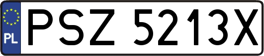 PSZ5213X