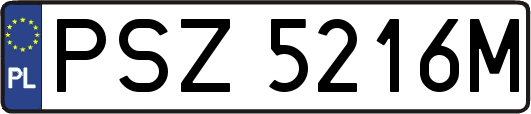 PSZ5216M