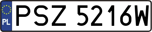 PSZ5216W