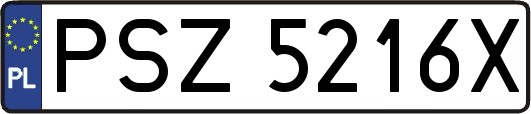 PSZ5216X