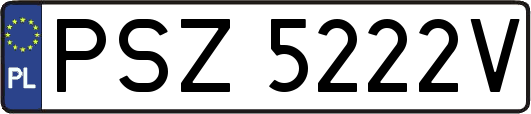 PSZ5222V