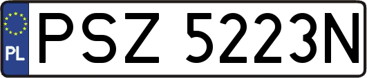 PSZ5223N