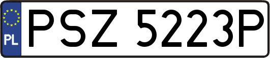 PSZ5223P