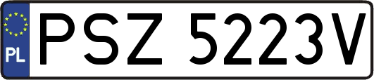 PSZ5223V