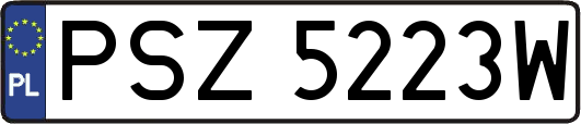 PSZ5223W