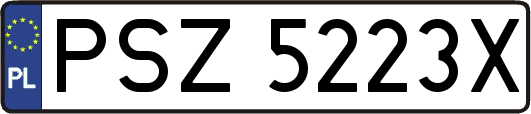 PSZ5223X