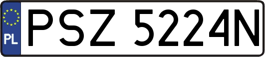 PSZ5224N