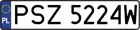 PSZ5224W