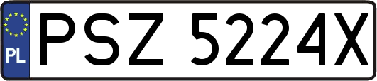 PSZ5224X