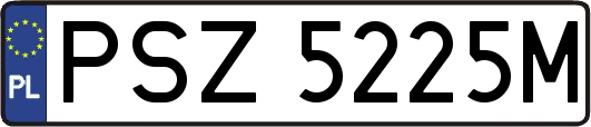 PSZ5225M