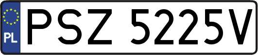 PSZ5225V