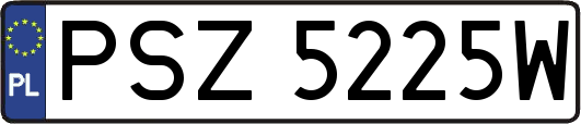 PSZ5225W
