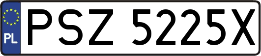 PSZ5225X