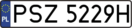 PSZ5229H