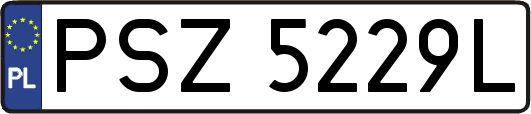 PSZ5229L