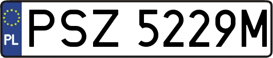 PSZ5229M
