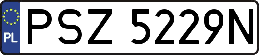 PSZ5229N