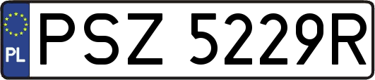 PSZ5229R