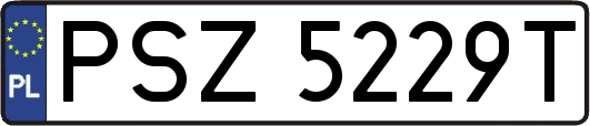 PSZ5229T