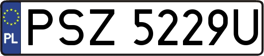 PSZ5229U