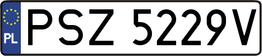 PSZ5229V