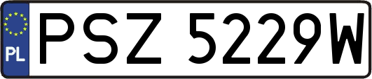 PSZ5229W