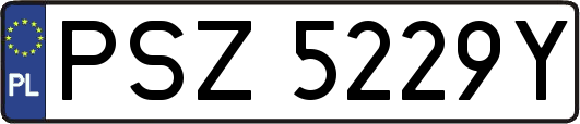 PSZ5229Y