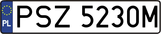 PSZ5230M