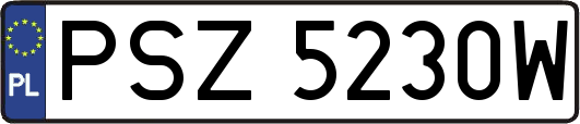 PSZ5230W