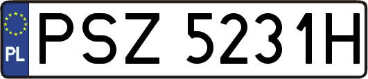 PSZ5231H