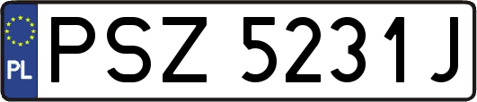 PSZ5231J