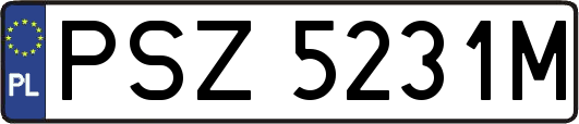 PSZ5231M