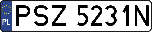 PSZ5231N