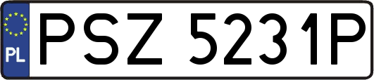 PSZ5231P