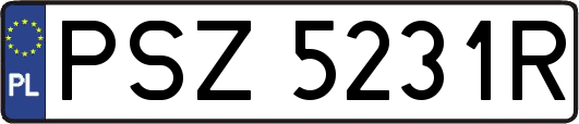 PSZ5231R