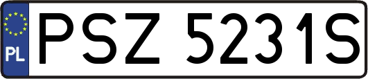 PSZ5231S