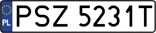PSZ5231T