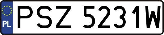 PSZ5231W