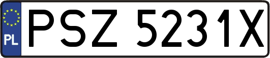 PSZ5231X