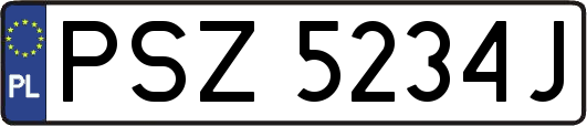 PSZ5234J