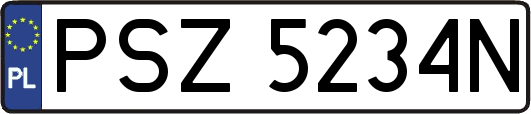 PSZ5234N