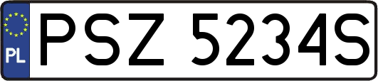 PSZ5234S
