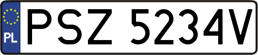 PSZ5234V