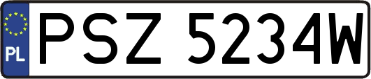 PSZ5234W