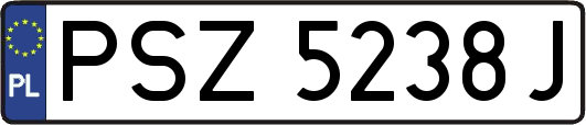 PSZ5238J