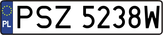 PSZ5238W