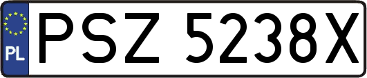 PSZ5238X